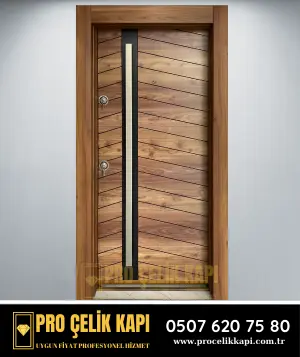 Çelik Kapı - Plus 1